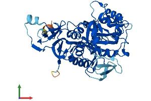 Protein Structure (PS) image for Amidohydrolase Domain Containing 2 (AMDHD2) (AA 1-409) protein (His tag) (ABIN7549685)