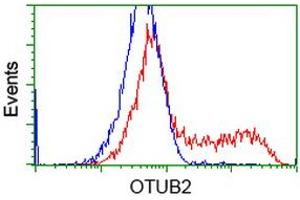 HEK293T cells transfected with either RC209650 overexpress plasmid (Red) or empty vector control plasmid (Blue) were immunostained by anti-OTUB2 antibody (ABIN2453412), and then analyzed by flow cytometry. (OTUB2 Antikörper)