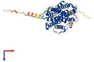 RRM2B Protein (AA 1-351) (His tag)