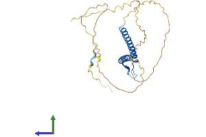 Protein Structure (PS) image for Neurogenin 2 (NEUROG2) (AA 1-263) protein (His tag) (ABIN7556725)