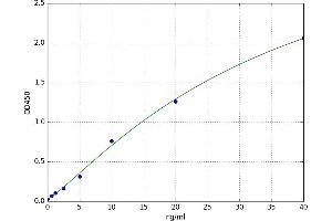Fibroblast Activation Protein, alpha (FAP) ELISA Kit