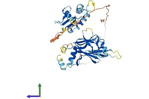 Protein Structure (PS) image for Interferon Regulatory Factor 9 (IRF9) (AA 1-393) protein (His tag) (ABIN7548540)