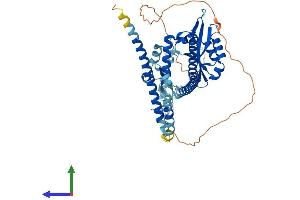 Protein Structure (PS) image for Nucleoporin 54kDa (NUP54) (AA 1-510) protein (His tag) (ABIN7558881)