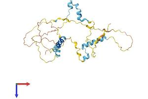 FAM110A Protein (AA 1-295) (His tag)