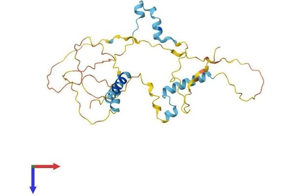 FAM110A Protein (AA 1-295) (His tag)