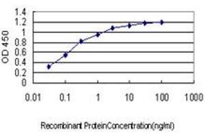 Detection limit for recombinant GST tagged IMPDH1 is approximately 0. (IMPDH1 Antikörper  (AA 201-300))