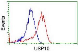 Image no. 12 for anti-Ubiquitin Specific Peptidase 10 (USP10) antibody (ABIN1501687) (USP10 Antikörper)