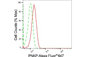 Flow cytometric analysis of PNKP expression in HT- cells using PNKP antibody (ABIN7799881), 1:2,000). (Rekombinanter PNKP Antikörper)