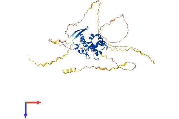 ARID3C Protein (AA 1-412) (His tag)