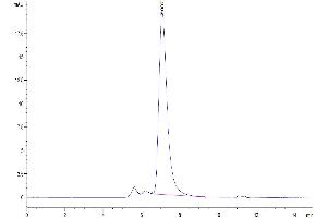 The purity of Mouse APOA1 is greater than 95 % as determined by SEC-HPLC. (APOA1 Protein (AA 25-264) (Fc Tag))