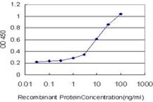 Detection limit for recombinant GST tagged FOXO3A is approximately 1ng/ml as a capture antibody. (FOXO3 Antikörper  (AA 361-460))