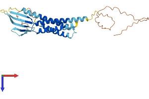 CACNG7 Protein (AA 1-275) (His tag)