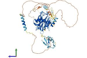AlphaFold protein structure predicition of Human Recombinant UBOX5 Protein, UniprotID O94941