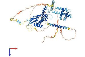 CDT1 Protein (AA 1-546) (His tag)
