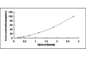 Typical standard curve (SERPINB2 ELISA Kit)