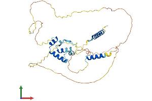 Protein Structure (PS) image for Caspase Activity and Apoptosis Inhibitor 1 (CAAP1) (AA 1-356) protein (His tag) (ABIN7559878)