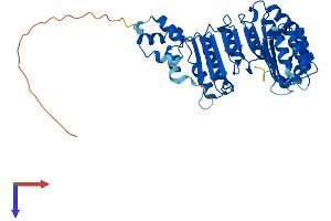 FBXL3 Protein (AA 1-428) (His tag)