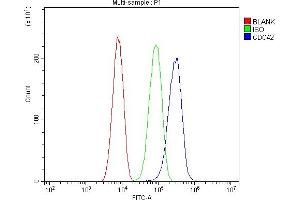 Flow Cytometry analysis of SiHa cells using anti-CDC42 antibody (ABIN6719528).