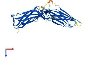 AlphaFold protein structure predicition of Mouse Recombinant Arrdc5 Protein, UniprotID Q497K5