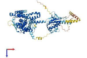 SLC26A4 Protein (AA 1-780) (His tag)