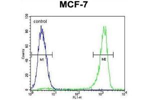 VEGF3 Antibody (N-term) flow cytometric analysis of MCF-7 cells (right histogram) compared to a negative control cell (left histogram).