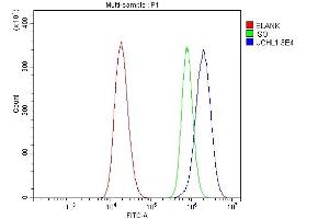 Flow Cytometry analysis of 293T cells using anti-PGP9. (UCHL1 Antikörper  (C-Term))