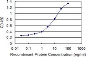 Detection limit for recombinant GST tagged VPS26A is 0. (VPS26A Antikörper  (AA 228-327))