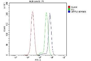 Flow Cytometry analysis of THP-1 cells using anti-METTL3 antibody (ABIN7602808).