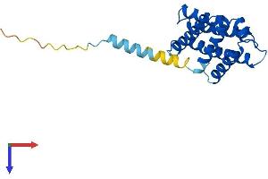 TNFAIP8 Protein (AA 1-198) (His tag)