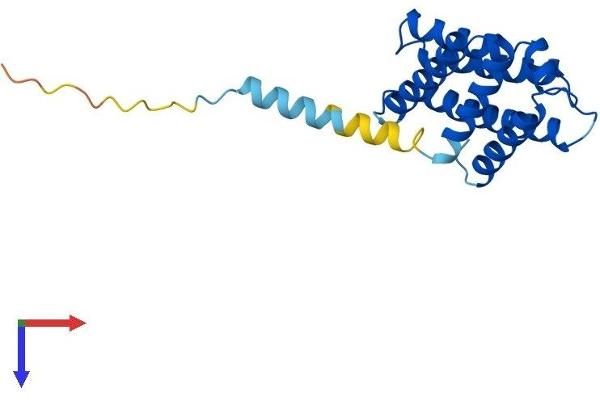 TNFAIP8 Protein (AA 1-198) (His tag)