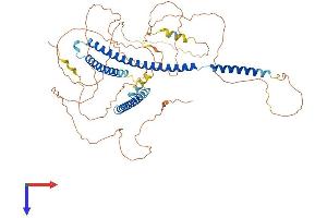 NUPL1 Protein (AA 1-599) (His tag)