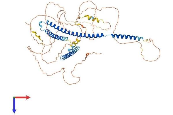 NUPL1 Protein (AA 1-599) (His tag)