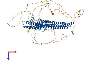 Amphiphysin Protein (AMPH) (AA 1-695) (His tag)