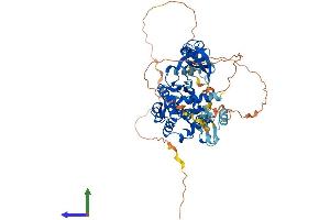 AlphaFold protein structure predicition of Human Recombinant PAK3 Protein, UniprotID O75914 (PAK3 Protein (PAK3) (AA 1-559) (His tag))