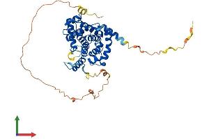 Protein Structure (PS) image for Cyclin E2 (CCNE2) (AA 1-404) protein (His tag) (ABIN7556407)