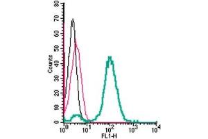 Cell surface detection of Tetraspanin 7 by indirect flow cytometry in live intact human  monocytic leukemia cells: + goat-anti-rabbit-FITC.