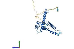 AlphaFold protein structure predicition of Mouse Recombinant Tma16 Protein, UniprotID Q9CR02