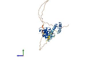 Protein Structure (PS) image for SIX Homeobox 1 (SIX1) (AA 1-284) protein (His tag) (ABIN7555466)