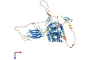 SMURF1 Protein (AA 1-757) (His tag)