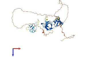 STAC Protein (AA 1-403) (His tag)