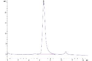The purity of Biotinylated Human FGFR1 alpha (IIIc) is greater than 95 % as determined by SEC-HPLC.