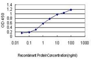 Detection limit for recombinant GST tagged AURKB is approximately 0. (Aurora Kinase B Antikörper  (AA 1-90))