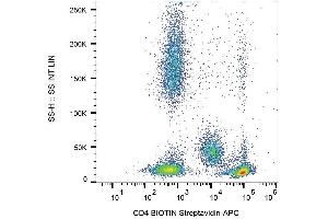 Surface staining of human peripheral blood cells with anti-human CD4 (MEM-241) biotin, streptavidin-APC. (CD4 Antikörper  (N-Term) (Biotin))