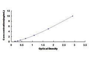 ELISA image for Cytochrome P450, Family 11, Subfamily B, Polypeptide 1 (CYP11B1) ELISA Kit (ABIN426680)