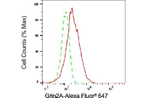 Flow cytometric analysis of Grin2A expression in HepG2 cells using Grin2A antibody (ABIN7798740), 1:2,000).