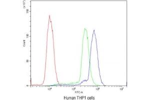 Flow cytometry testing of human THP1 cells with Cyclin D3 antibody at 1ug/10^6 cells (blocked with goat sera) (Cyclin D3 Antikörper  (AA 136-292))