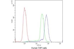 Flow cytometry testing of human THP1 cells with Cyclin D3 antibody at 1ug/10^6 cells (blocked with goat sera)