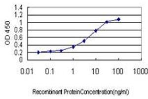 anti-Caudal Type Homeobox 4 (CDX4) (AA 71-170) antibody