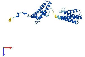 VPS28 Protein (AA 1-221) (His tag)