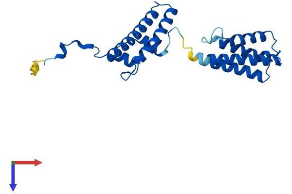 VPS28 Protein (AA 1-221) (His tag)